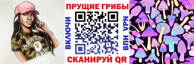 Псилоцибиновые грибы GOLDEN TEACHER  мориарти Telegram  Энем 